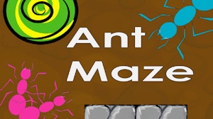 Image for Ant Maze