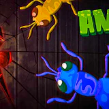 Ants