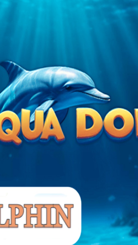 Aqua Dolphin
