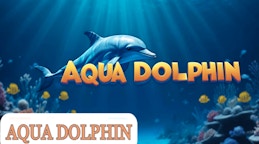 Aqua Dolphin