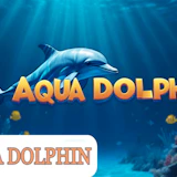 Aqua Dolphin