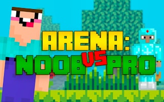 Arena: Noob Vs Pro game cover