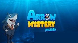 Arrow Mystery Puzzle