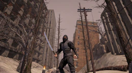 Ashen Ninja - Rust and Katana