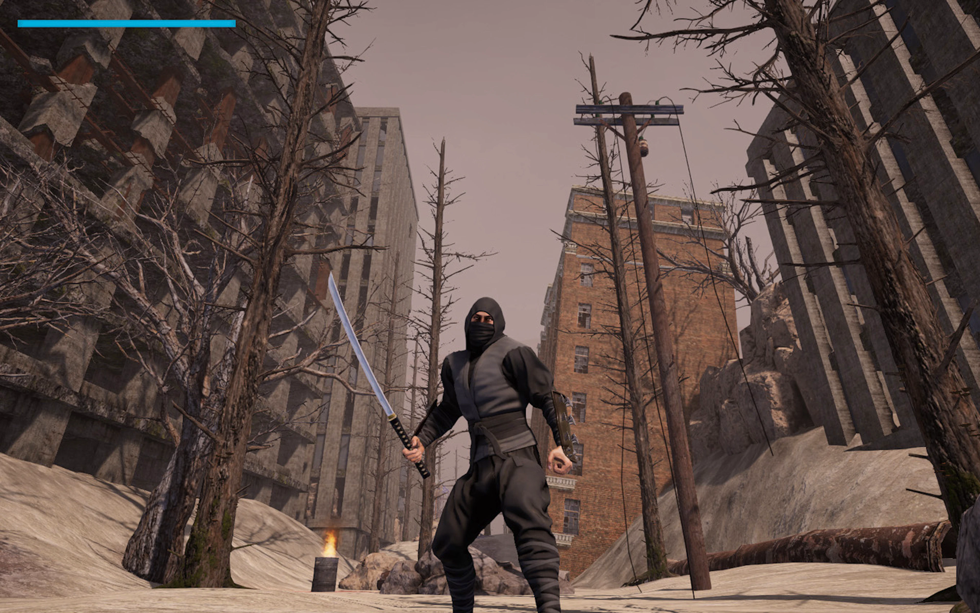 Ashen Ninja - Rust and Katana