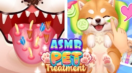 ASMR Pet Treatment