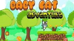 Baby Cat Adventure