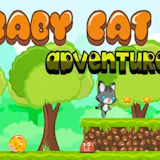 Baby Cat Adventure