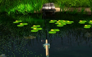 Backwater Fishing