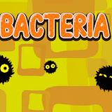 Bacteria