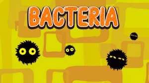 Image for Bacteria