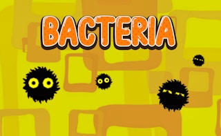 Bacteria