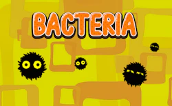 Bacteria