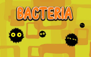 Bacteria