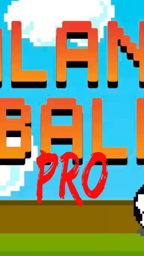 Balance Ball Pro