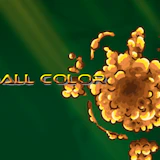Ball Color