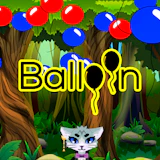 Balloon