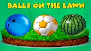 Image for Balls on the Lawn