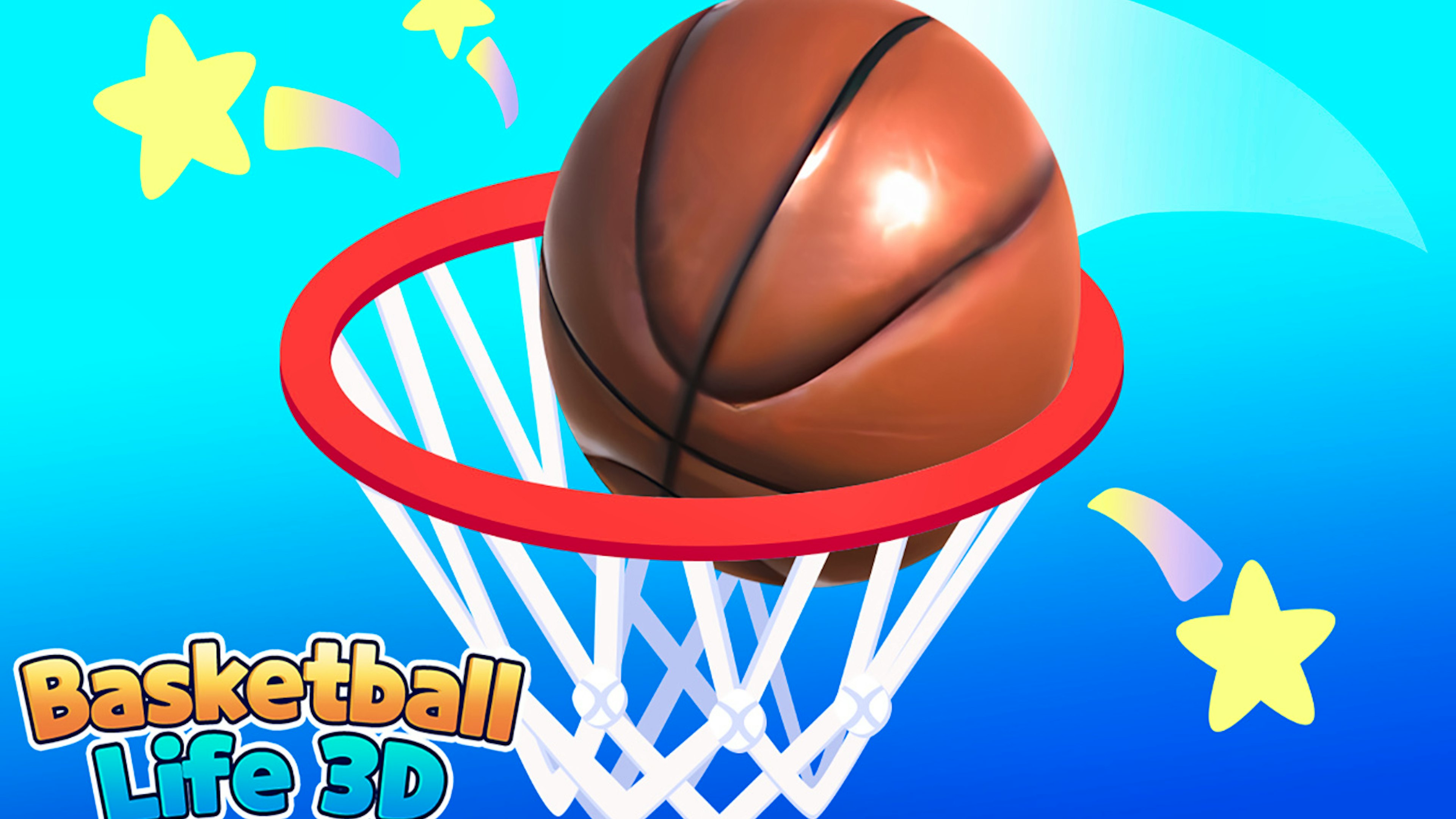 Basketball Life 3d