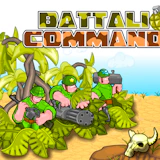 Battalion Commander