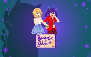 Beauty Cat Salon game cover