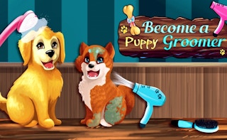 Become a Puppy Groomer