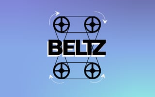 Beltz game cover