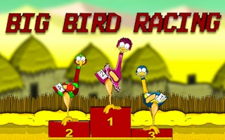 Big Bird Racing game cover