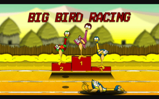 Big Bird Racing game cover