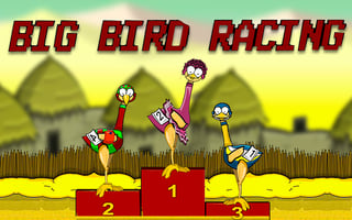 Big Bird Racing game cover