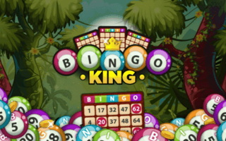 Bingo King game cover