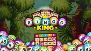 Bingo King game cover
