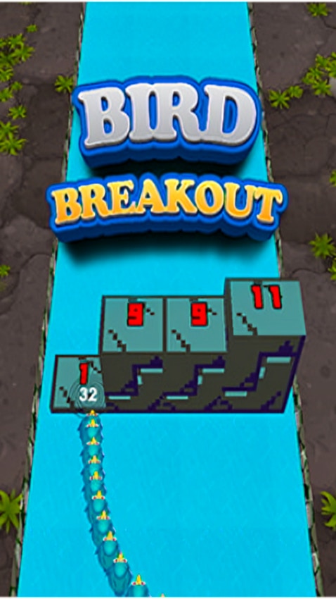 Bird Breakout