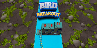 Bird Breakout thumbnail