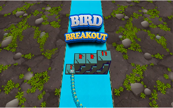 Bird Breakout