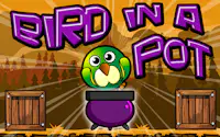 Bird In A Pot