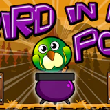 Bird In A Pot