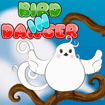 Bird in danger