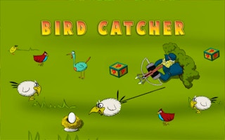 Birds Catcher game cover