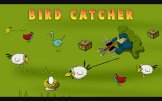 Birds Catcher game cover