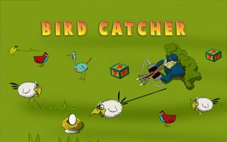 Birds Catcher game cover