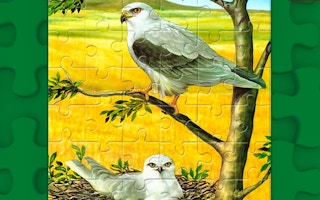 Birds Of Prey Puzzle game cover