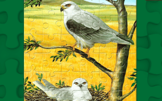 Birds Of Prey Puzzle game cover