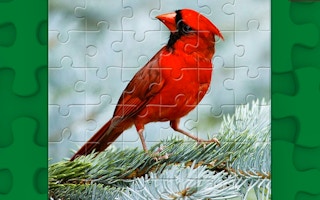 Birds Puzzle game cover