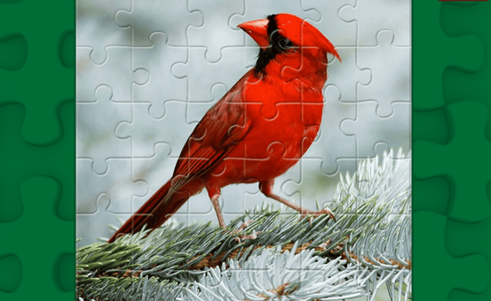 Pou puzzle - puzzle online