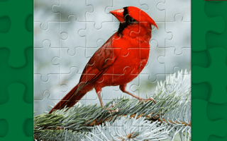 Birds Puzzle game cover