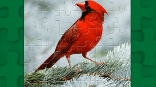 Birds Puzzle