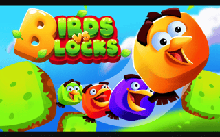 Birds Vs Blocks game cover