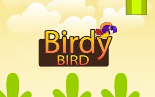 Birdy Bird Floppy game cover