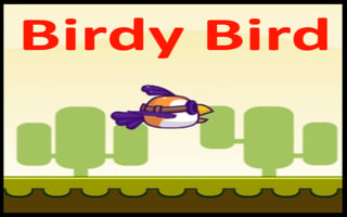 Birdy Bird game cover